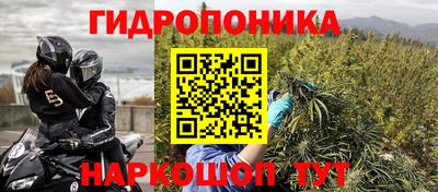 спиды Ливны