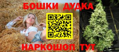 спиды Лесосибирск