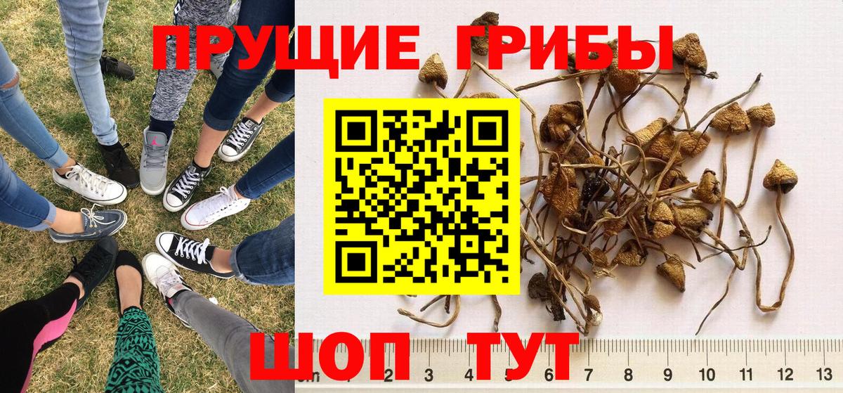 Псилоцибиновые грибы MAGIC MUSHROOMS Южно-Сахалинск